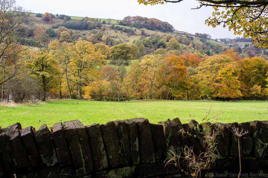 Countryside of Yorkshire autumn