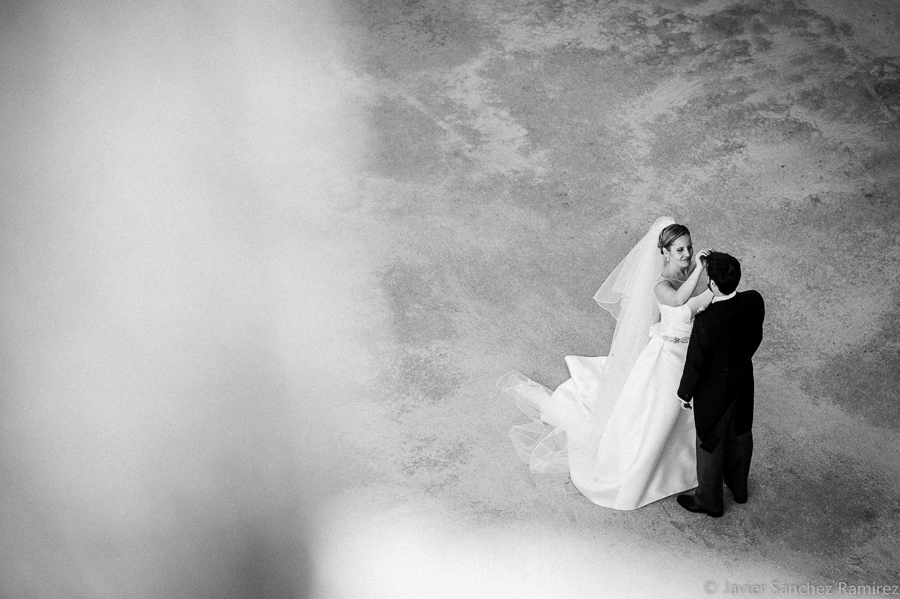wedding portraits in black and white