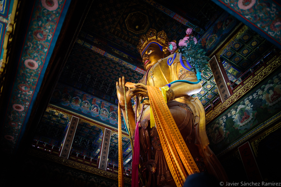 Travel photography. Tantric statue at Lama Temple Beijing